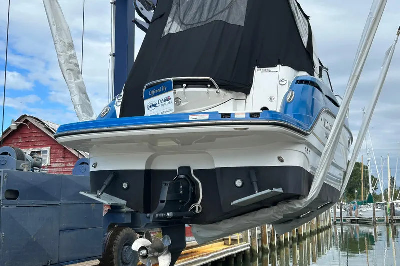  Yacht Photos Pics 2019 Monterey 295 Sport Yacht in marina, rear view, blue and white hull.