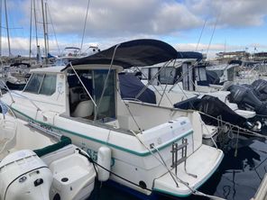 1998 Ocqueteau espace 685