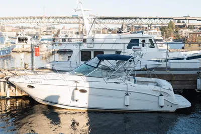 Sea Ray 290 Amberjack