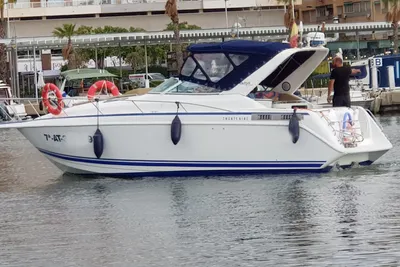 1992 Baja BAJA 290