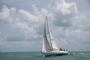 1980 Custom Caipirihna
