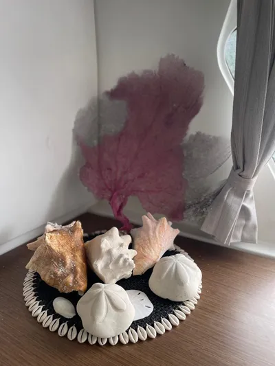 Benedetto Yacht Photos Pics 