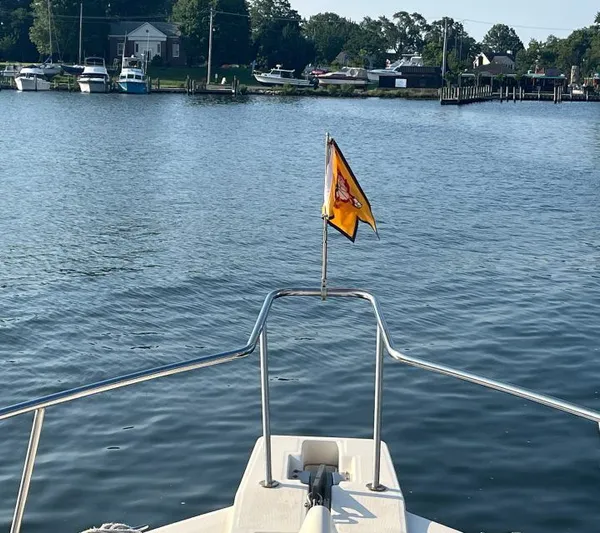 Shamrock Yacht Photos Pics 