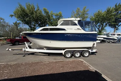 Bayliner Discovery 246