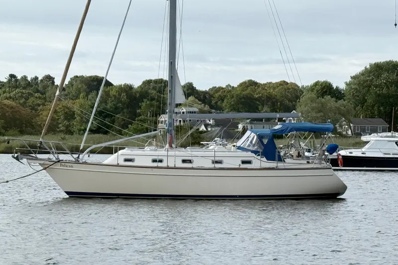 Pelican Yacht Photos Pics 2008 Island Packet 370 sailboat anchored on a calm river with lush green surroundings.