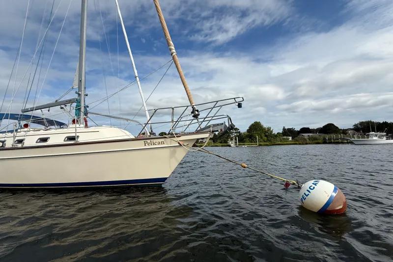 Pelican Yacht Photos Pics 2008 Island Packet 370 sailboat named "Pelican" moored on a calm waterway.