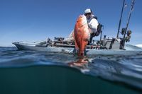 2023 Hobie Mirage Pro Angler 14 with 360 Drive Technology