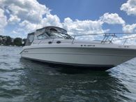 1996 Sea Ray 300 Sundancer