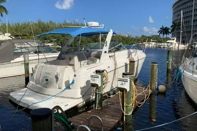 Rinker 300 Express Cruiser