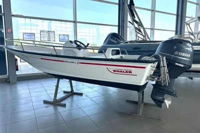 1995 Boston Whaler 13 Dauntless