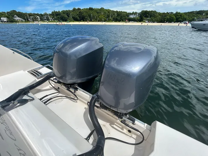 She Bot It II Yacht Photos Pics Twin outboard motors on a 2007 Grady-White Express 305, near a scenic beach.