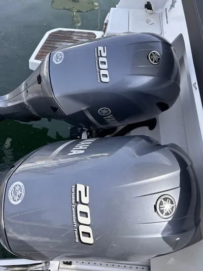 Relationship Yacht Photos Pics 