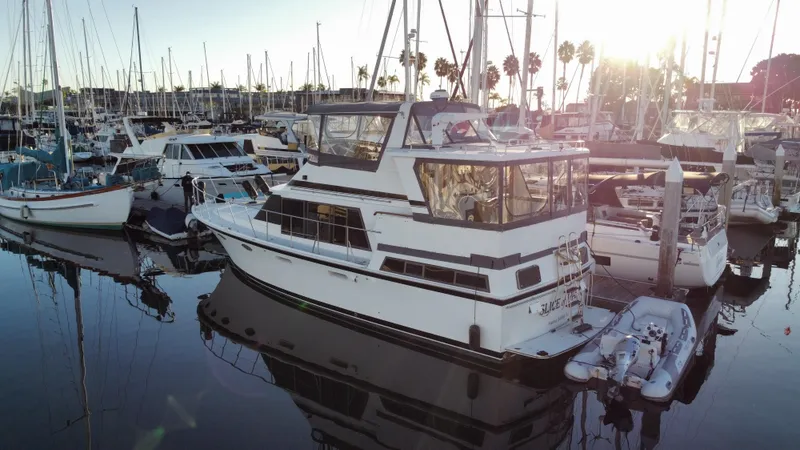 Slice Of Life Yacht Photos Pics 