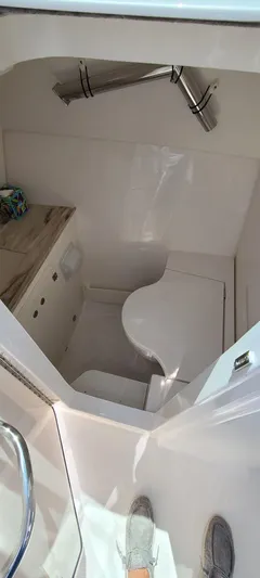  Yacht Photos Pics 2023 PURSUIT 326 DC - Image 31