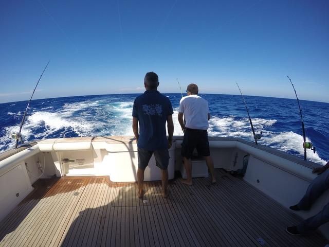 2006 Cabo 43 