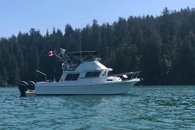 SeaSport Pacific 3200