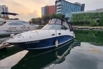 Sea Ray 260 Sundancer