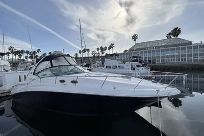 Sundancer Poontoons 320