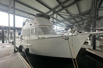 Island Gypsy 36