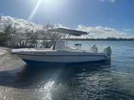 2016 Twin Vee 22 Ocean Cat