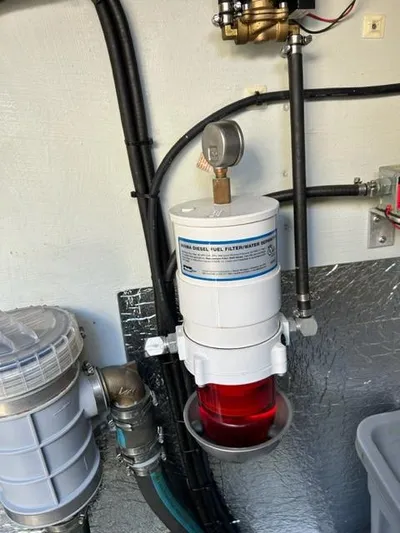 Cat Tastic Yacht Photos Pics Filter