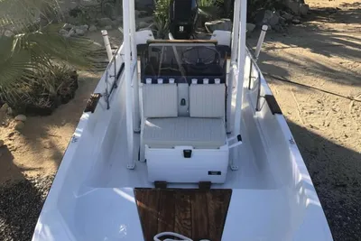 1979 Boston Whaler Boston