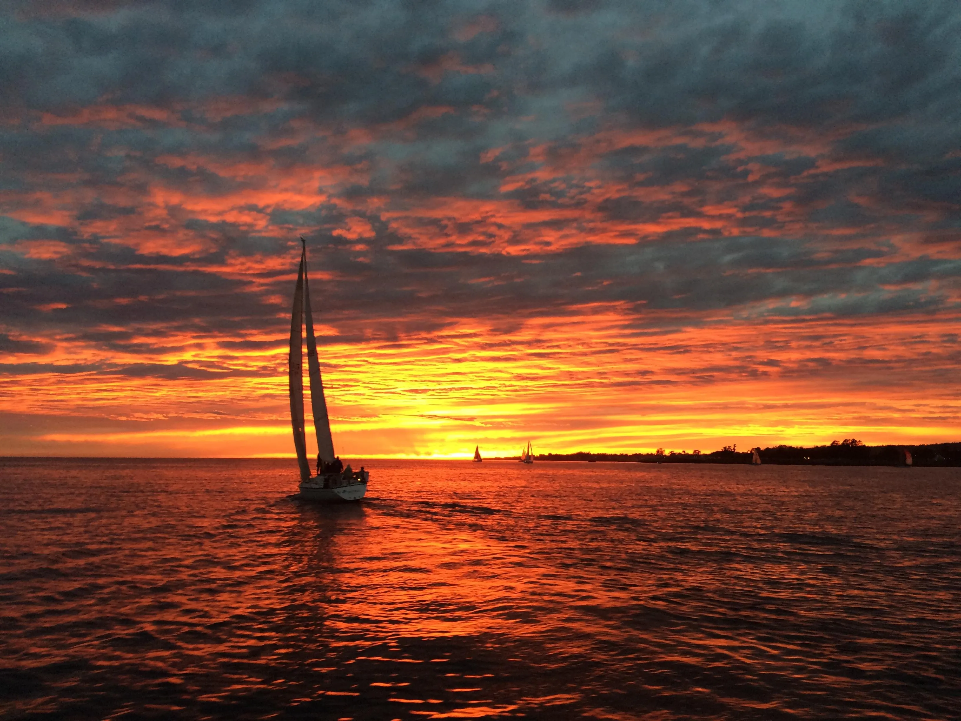 1986 Santa Cruz Santa Cruz 50