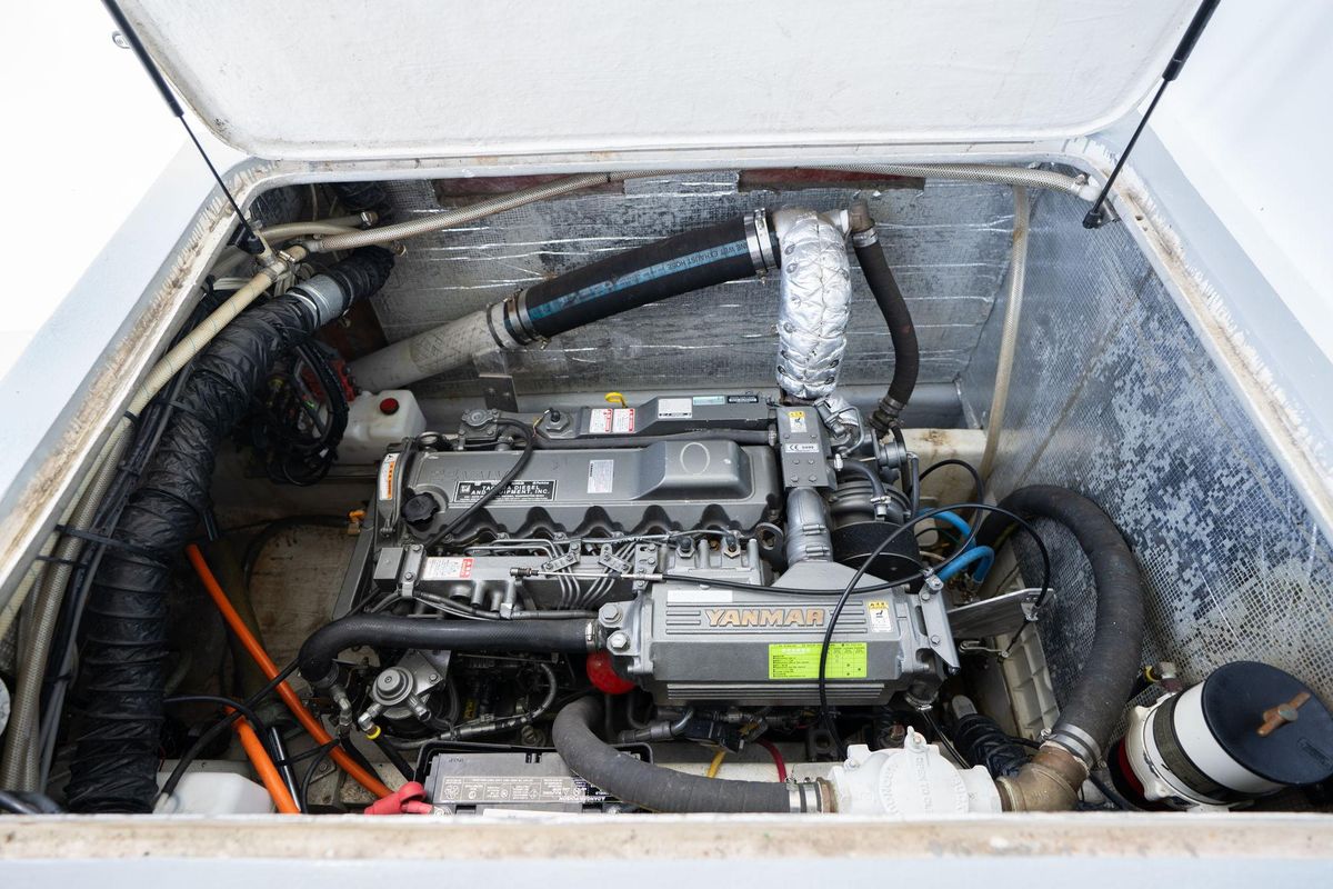 2005 Pedigree Cat 52 
