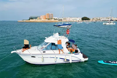 2006 Antares Benneteau Antares 8.8 fly