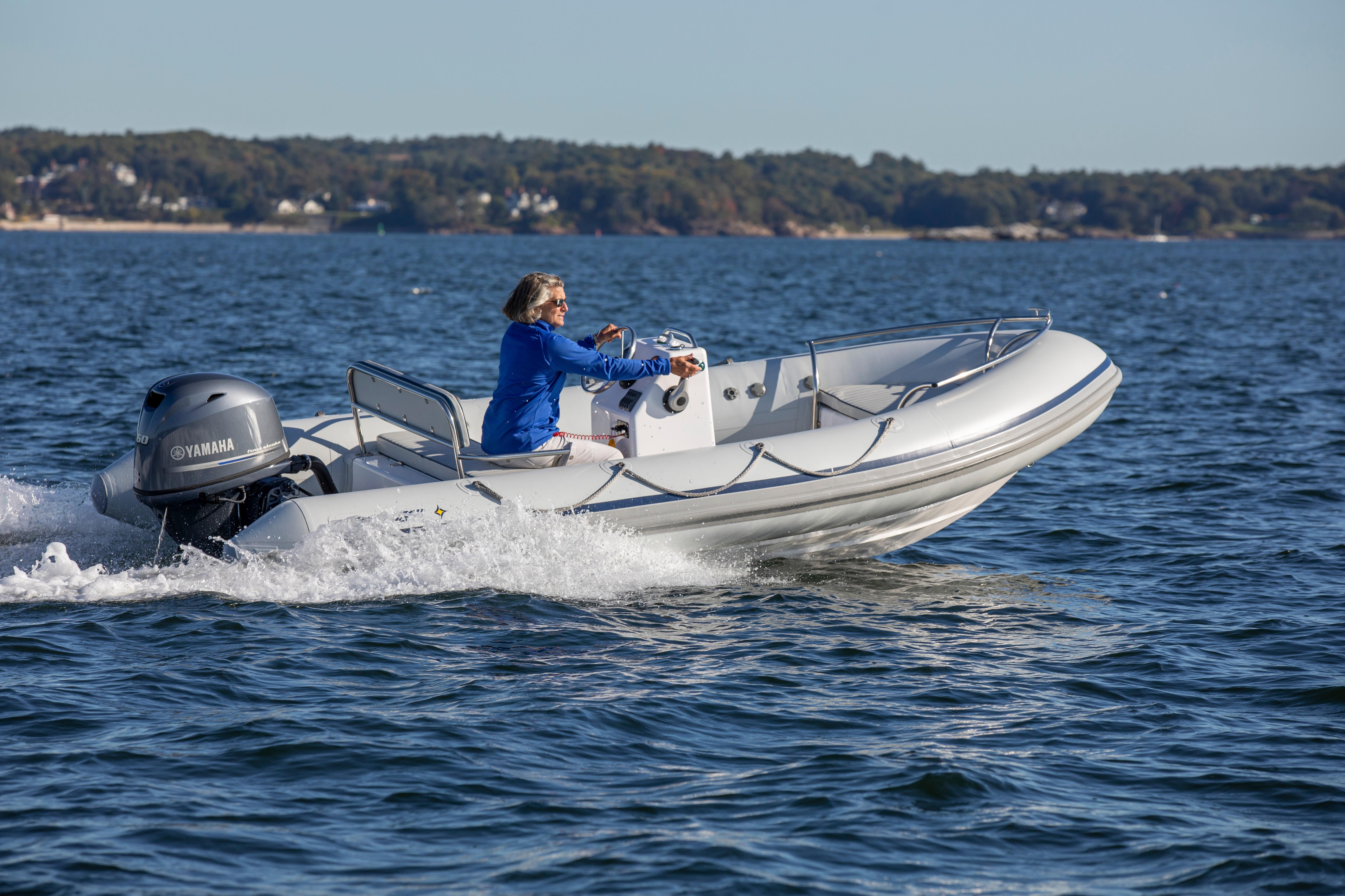 2010 Ribcraft 6.8 Rigid Inflatable Boats (RIB) for sale - YachtWorld