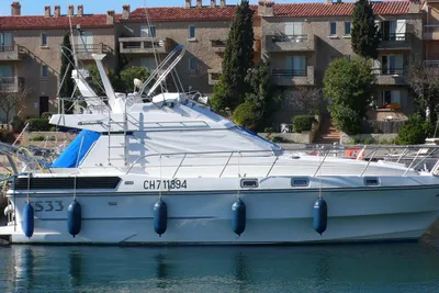 1988 Custom Birschwood TS 33 fly
