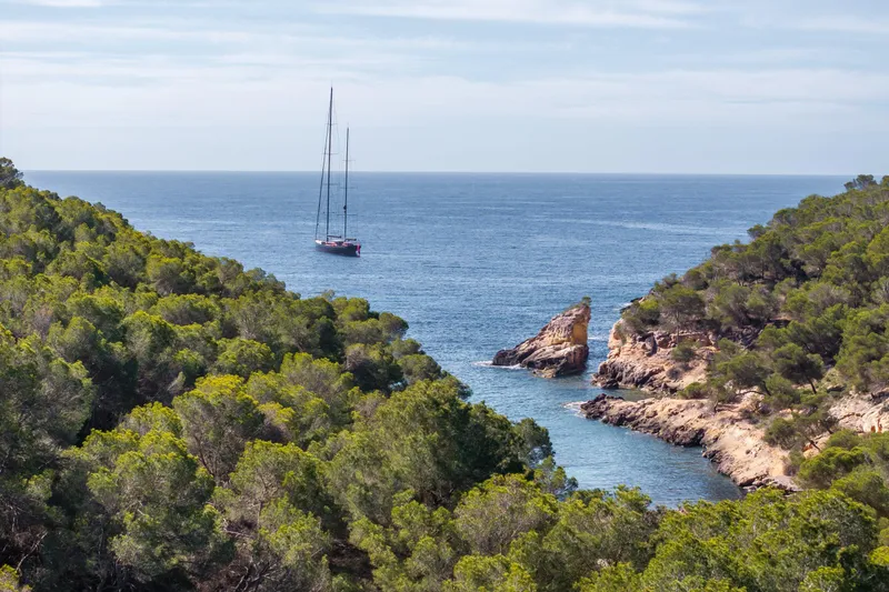 Maximus Yacht Photos Pics 