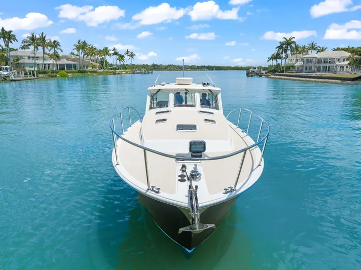 Andiamo Yacht Photos Pics 