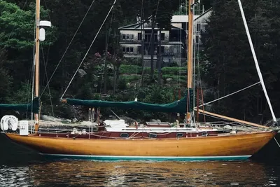 Concordia 41