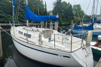 Lippincott 30
