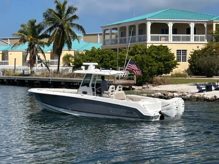 No Name Yacht Photos Pics 