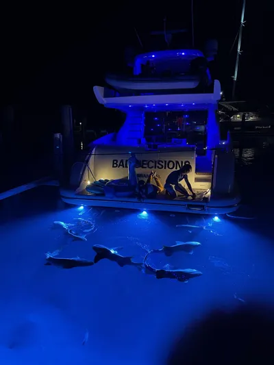 O Fortuna Yacht Photos Pics 