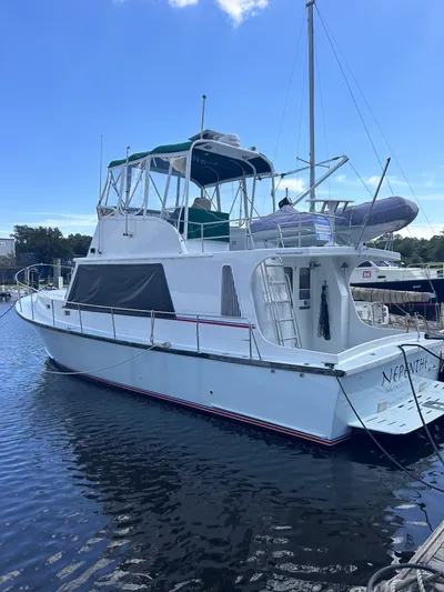 Nepenthe Yacht Photos Pics 