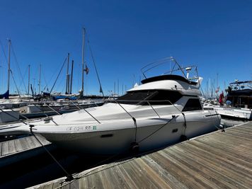 Bayliner 3488 Avanti