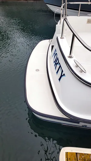 Back Forty Yacht Photos Pics Swim Platform