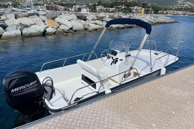 Boston Whaler 170 Montauk