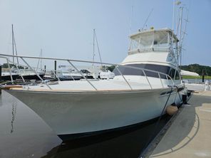 Buddy Davis Sportfish Convertible