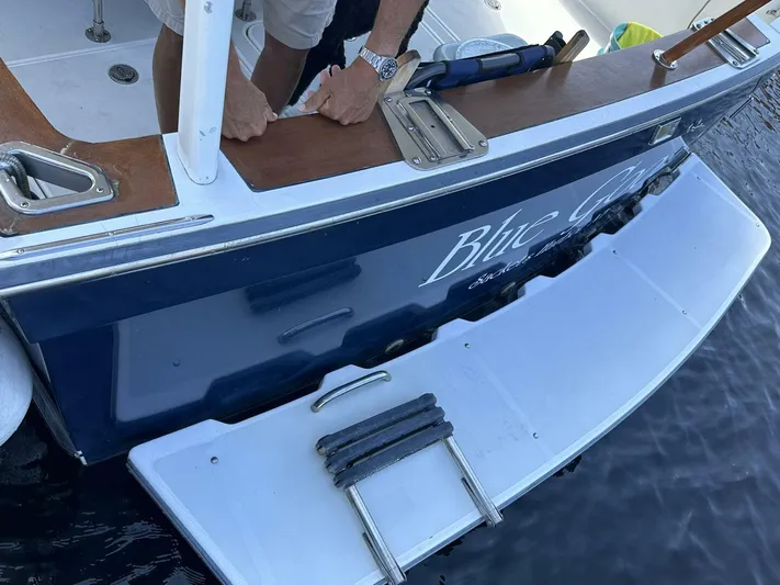 Blue Goose Yacht Photos Pics 2003 Sabre 36 Fly Bridge Sedan boat stern with swim platform and ladder.