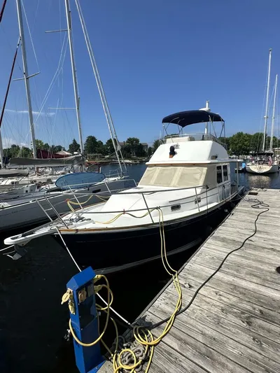 Blue Goose Yacht Photos Pics 2003 Sabre 36 Fly Bridge Sedan docked at marina under clear blue sky.