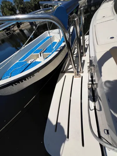 Nauti Dog Yacht Photos Pics 