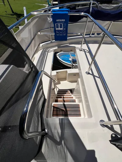 Nauti Dog Yacht Photos Pics 