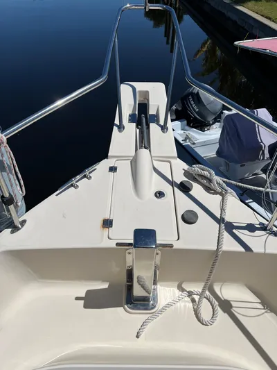 Nauti Dog Yacht Photos Pics 