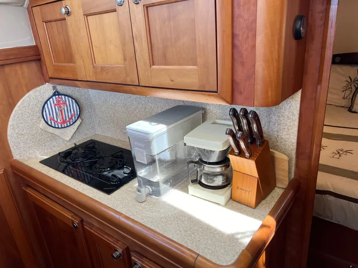 Nauti Dog Yacht Photos Pics 