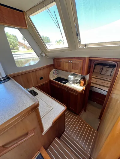 Nauti Dog Yacht Photos Pics 