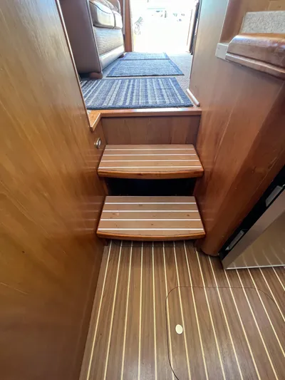 Nauti Dog Yacht Photos Pics 